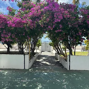 Apto 3 Quartos Pe Na Areia Prox De Apartamento Recife